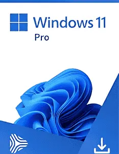 Windows 11 pro